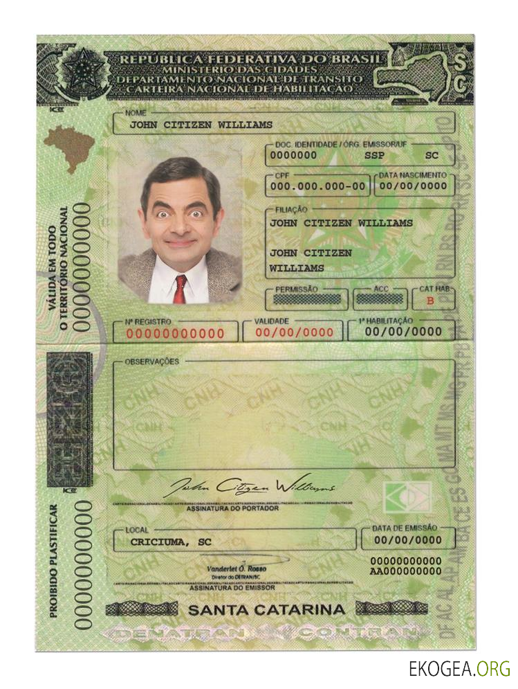 Brazil(SantaCatarina)driving license